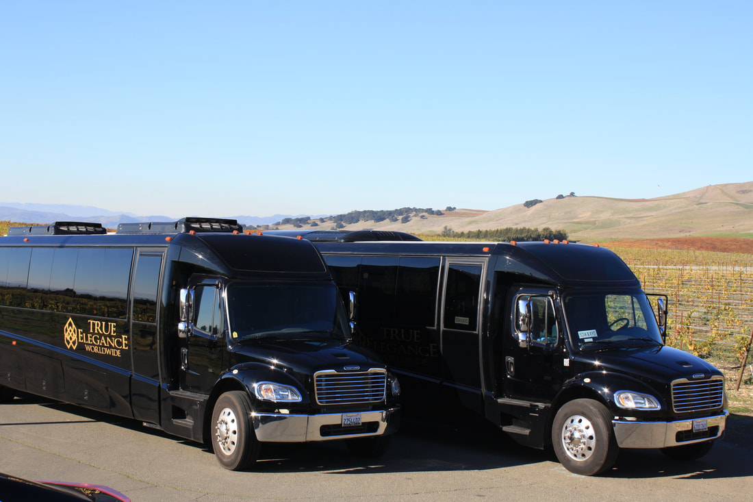 Napa Valley Corporate Bus, Napa Valley Executive Bus