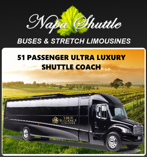 51 Passenger Coach Bus